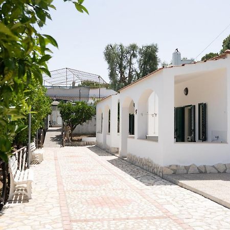 Apartmán Penta Garden Peschici Exteriér fotografie
