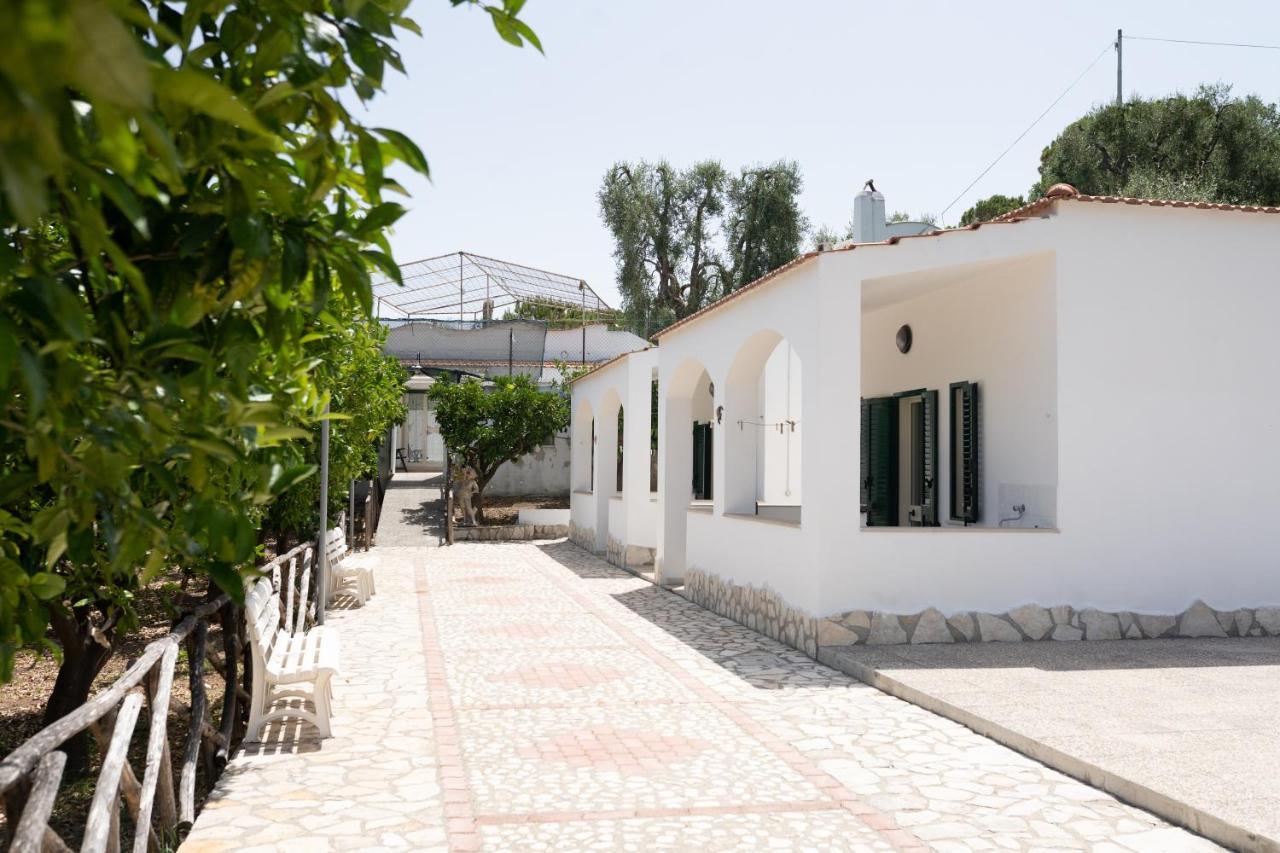 Apartmán Penta Garden Peschici Exteriér fotografie