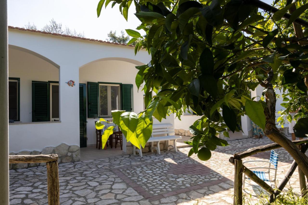 Apartmán Penta Garden Peschici Exteriér fotografie