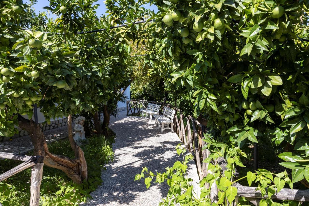 Apartmán Penta Garden Peschici Exteriér fotografie