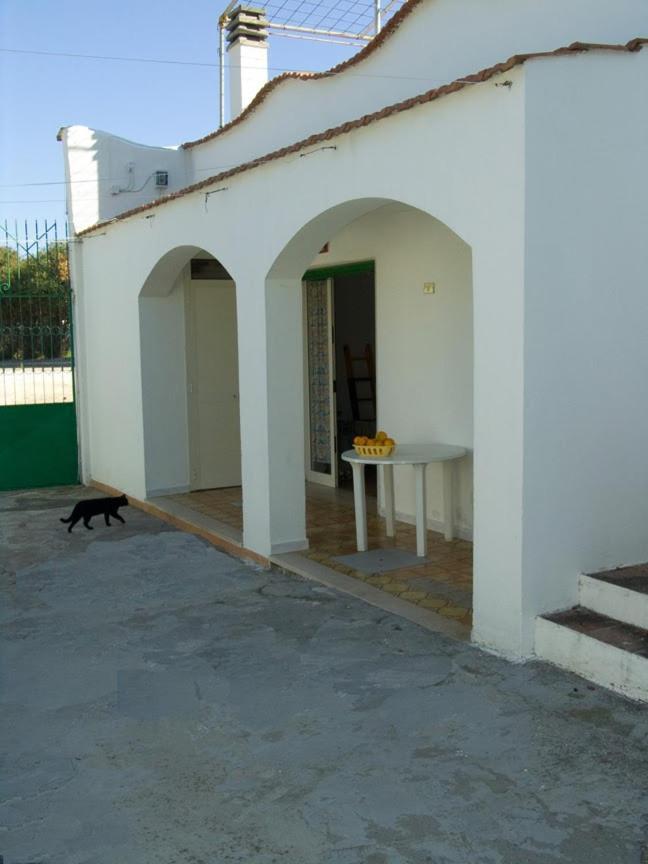 Apartmán Penta Garden Peschici Exteriér fotografie
